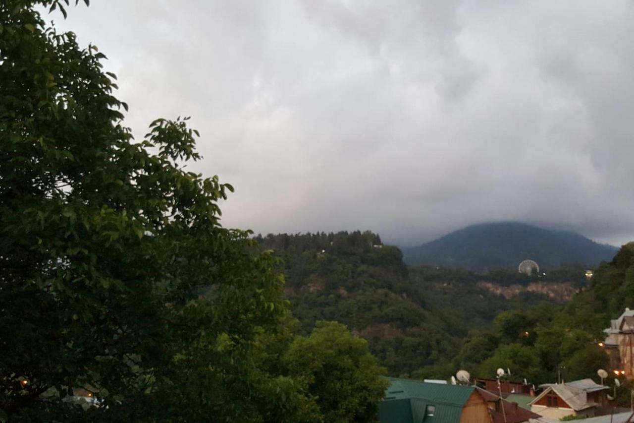 Hillside Orbeliani Residence Borjomi Εξωτερικό φωτογραφία